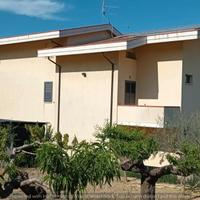 304 Villa unifamiliare Collecorvino