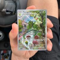 Pokémon Floragato evoluzioni a Paldea