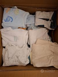 set neonato 