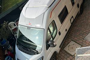 Roller Team livingstone6xl sport limited