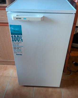 Frigorifero piccolo - Mini Frigo Ignis