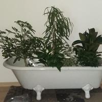 Vasca da bagno vintage