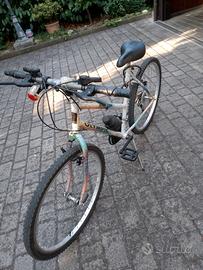 Bici da uomo Olimpic