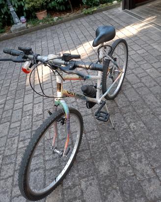 Bici da uomo Olimpic