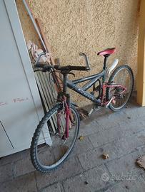 Bicicletta