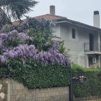 Villa singola Aprilia [cod. rif5939846VRG]