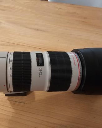 Canon 70-200 2.8 IS II 
