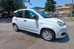 Fiat Panda 1.2 Lounge 69cv