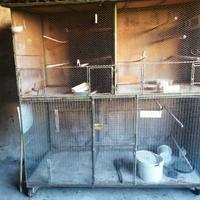 gabbie x uccelli (voliera) 