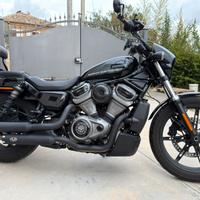 Harley Davidson Nightster 975 vivid black