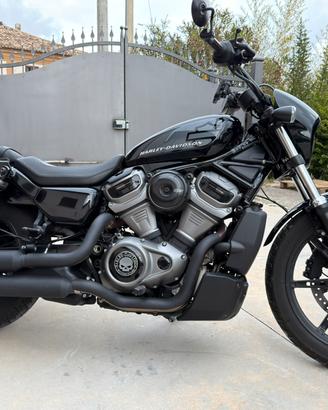 Harley Davidson Nightster 975 vivid black