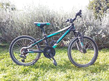 MTB 20 pollici 