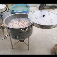 Cuocicastagne a gas - luce o a legna