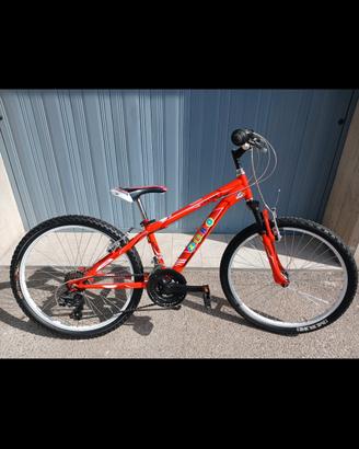 bicicletta mountain bike  ragazzo 