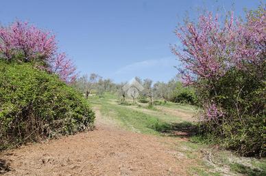 TER. RESIDENZIALE A STRONCONE