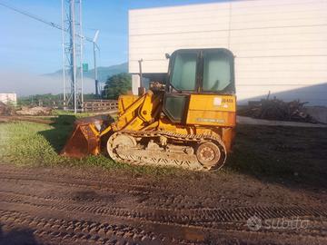 Pala cingolata JD455