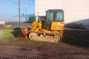 Pala cingolata JD455