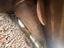 Immagine 29