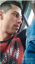 Driver corriere,operaio