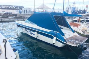 Barca Sea Ray 270 cv (1990/1995)