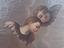 Immagine 6