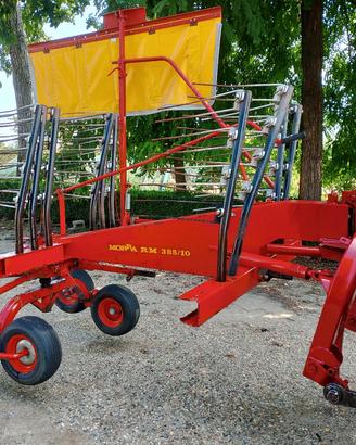 andanatore ranghinatore giostra 
