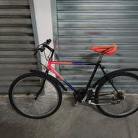 Bicicletta Mountain bike 