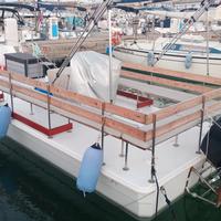 Barca a pontone 9 metri 16 persone