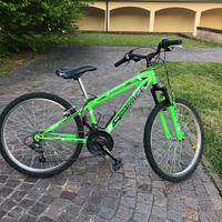Mountain bike