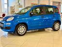 fiat-panda-pandina-icon-5p-hybrid-70cv-s-s