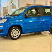 FIAT Panda Pandina Icon 5p - Hybrid 70cv S&S