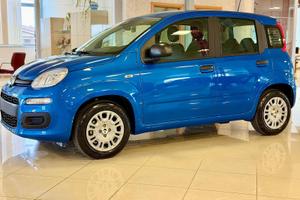 FIAT Panda Pandina Icon 5p - Hybrid 70cv S&S
