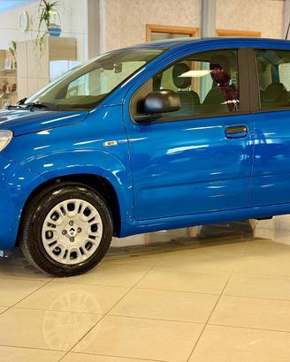 FIAT Panda Pandina Icon 5p - Hybrid 70cv S&S