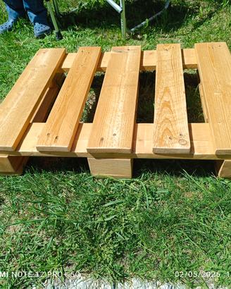 Pallet trattato 