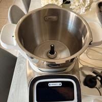 Moulinex i companion