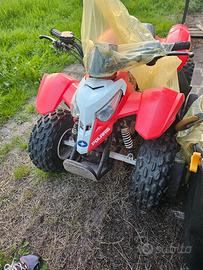 Polaris Predator 50 mini Quad prezzo trattabile 