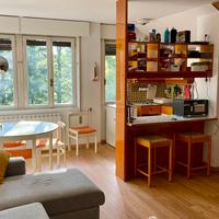 Appartamento Mansarda Abetone