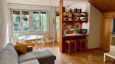 Appartamento Mansarda Abetone