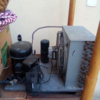 compressore per cella frigo 