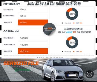 Stage 1 e File Service per BMW VW e Multimarca