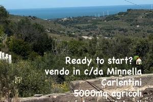 Terreno e caseggiato in c/da Minnella Carlentini