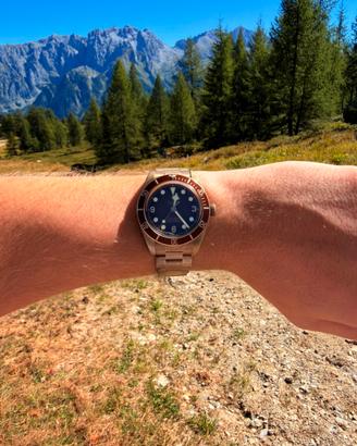 Tudor black bay 53 bronze