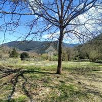 TER. AGRICOLO A MONTELANICO