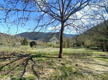 TER. AGRICOLO A MONTELANICO