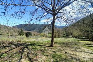 TER. AGRICOLO A MONTELANICO