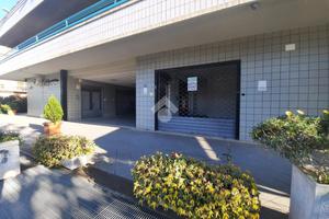 NEGOZIO A CIAMPINO