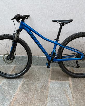 Mtb specialized XS