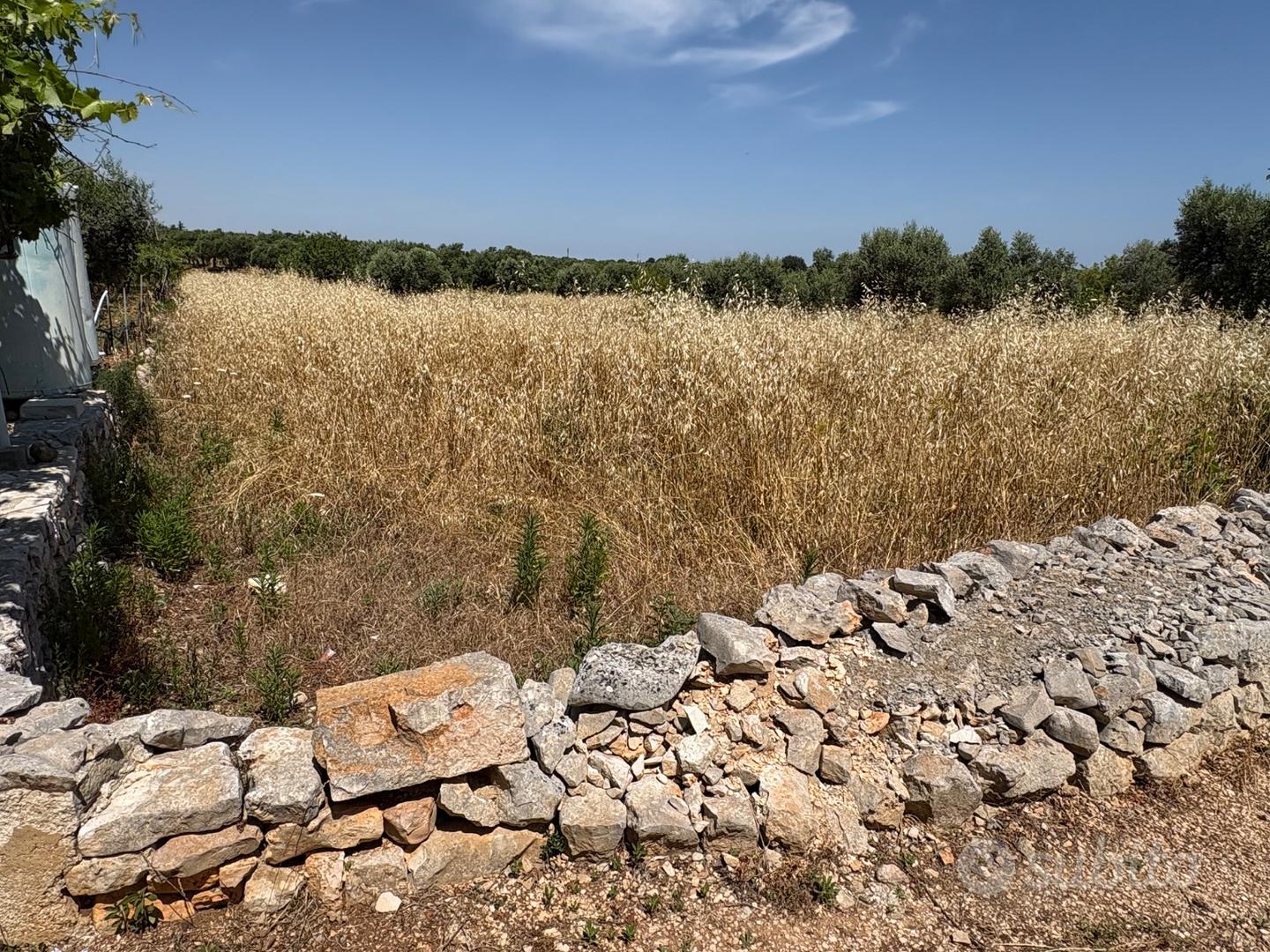 Terreno agricolo - Vista 4