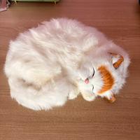 Decorazione gatto arrotolato