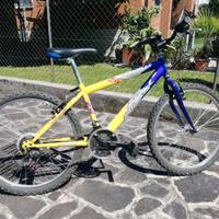 BICI MTB CARNIELLI 24"